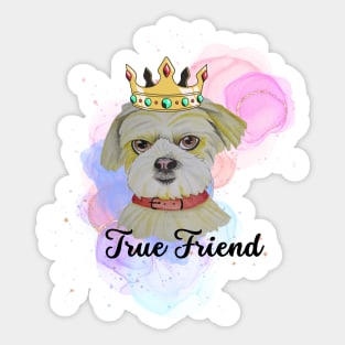 Fun Dog True Friend Sticker